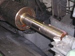 Veneer tray head roll, ground.jpg